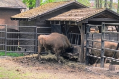 IMG_20260507_095502264_HDR_AE