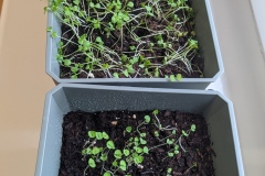 IMG_20251118_085340506