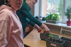 IMG_20251120_092817391