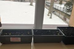 WhatsApp-Image-2026-03-01-at-14.27.107