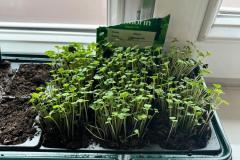 WhatsApp-Image-2026-03-29-at-15.30.32