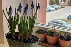 WhatsApp-Image-2026-03-29-at-15.30.56