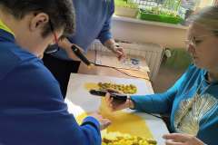 3a0ff2e7-e463-488e-ac99-245baff73479