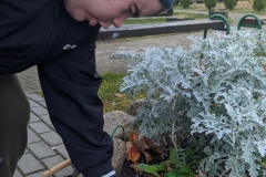 IMG_20251104_121728604