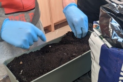 IMG_20251104_100517843